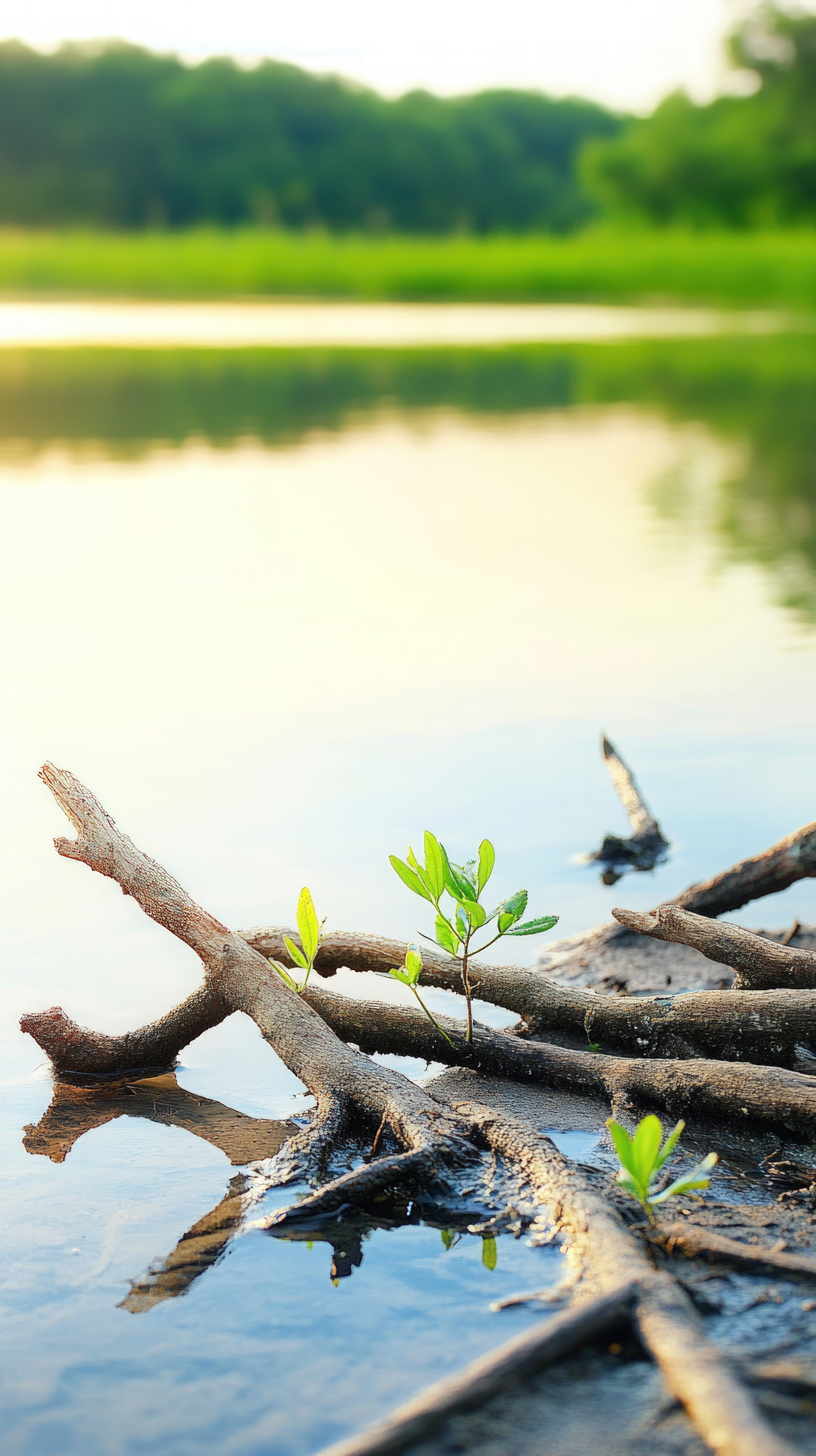 Introdução a Biossistemas