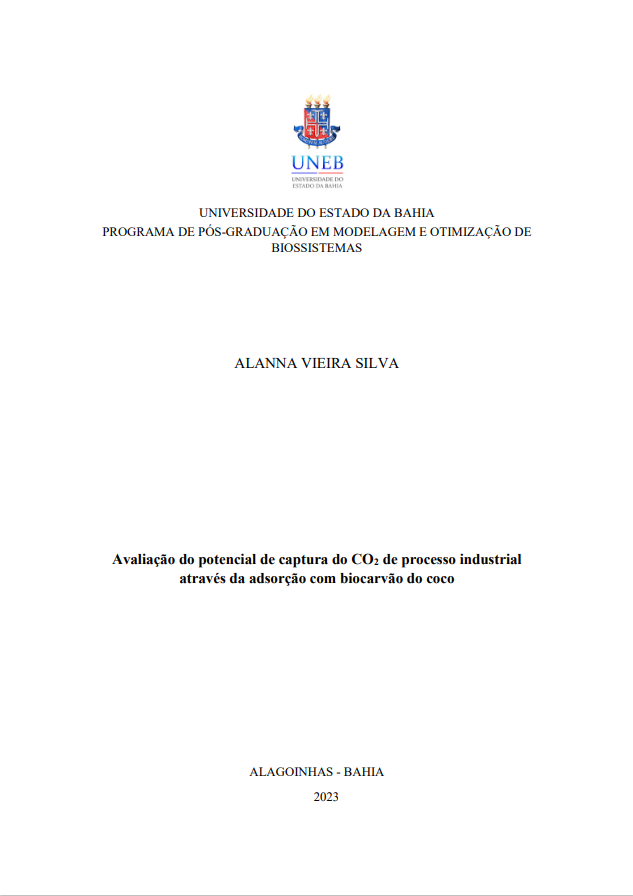 Capa da Dissertação