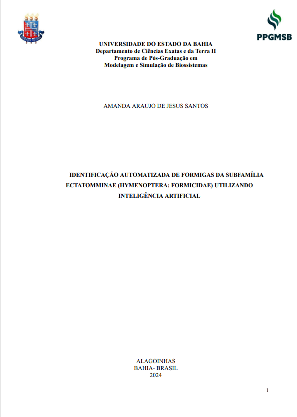 Capa da Dissertação