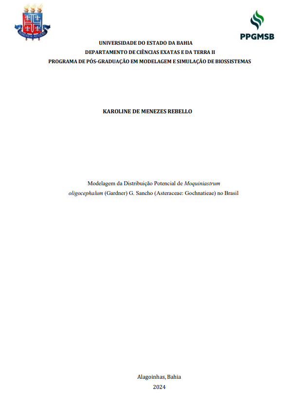 Capa da Dissertação